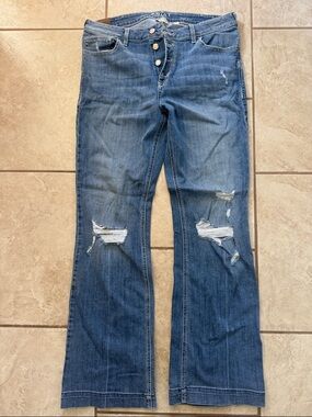 Ariat Women's Medium Blue Distressed Flare Jeans